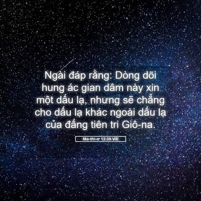 Picture 05 - Ma-thi-ơ 12:39 VIE - Ngài đáp rằng: Dòng dõi hung ác gian dâm - Bible Verse Picture