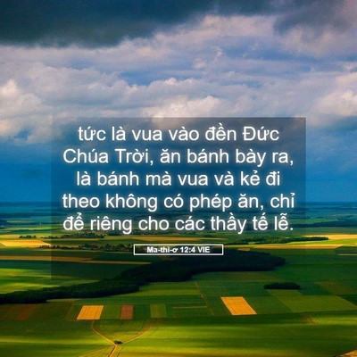 Picture 05 - Ma-thi-ơ 12:4 VIE - tức là vua vào đền Đức Chúa Trời, - Bible Verse Picture