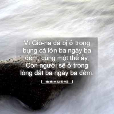 Picture 05 - Ma-thi-ơ 12:40 VIE - Vì Giô-na đã bị ở trong bụng cá lớn - Bible Verse Picture