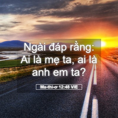 Picture 05 - Ma-thi-ơ 12:48 VIE - Ngài đáp rằng: Ai là mẹ ta, ai là anh em - Bible Verse Picture