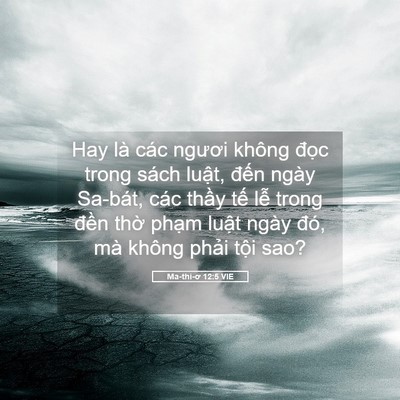 Picture 05 - Ma-thi-ơ 12:5 VIE - Hay là các ngươi không đọc trong sách - Bible Verse Picture