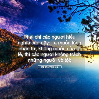 Picture 05 - Ma-thi-ơ 12:7 VIE - Phải chi các ngươi hiểu nghĩa câu nầy: - Bible Verse Picture