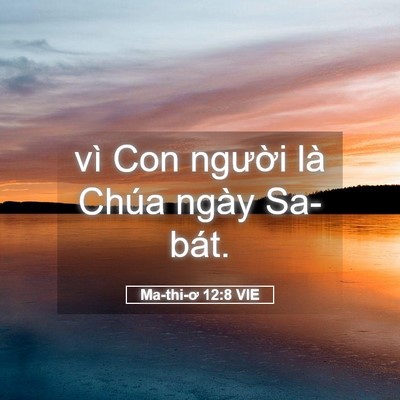 Picture 05 - Ma-thi-ơ 12:8 VIE - vì Con người là Chúa ngày - Bible Verse Picture