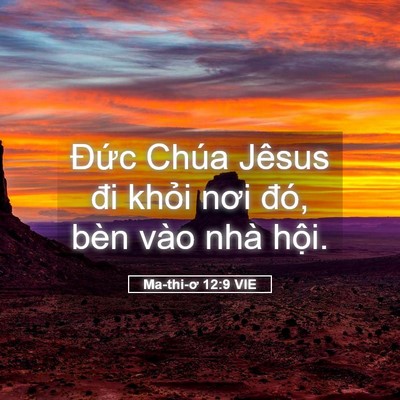 Picture 05 - Ma-thi-ơ 12:9 VIE - Đức Chúa Jêsus đi khỏi nơi đó, bèn - Bible Verse Picture