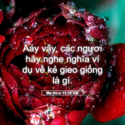 Picture 05 - Ma-thi-ơ 13:18 VIE - Aáy vậy, các ngươi hãy nghe nghĩa ví - Bible Verse Picture