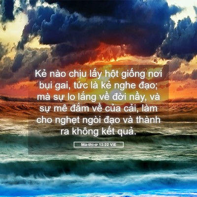Picture 05 - Ma-thi-ơ 13:22 VIE - Kẻ nào chịu lấy hột giống nơi bụi - Bible Verse Picture