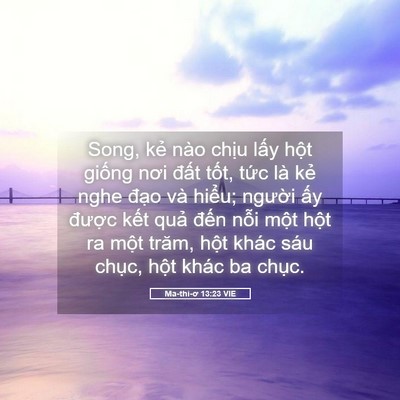 Picture 05 - Ma-thi-ơ 13:23 VIE - Song, kẻ nào chịu lấy hột giống nơi - Bible Verse Picture