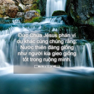 Picture 05 - Ma-thi-ơ 13:24 VIE - Đức Chúa Jêsus phán ví dụ khác cùng - Bible Verse Picture