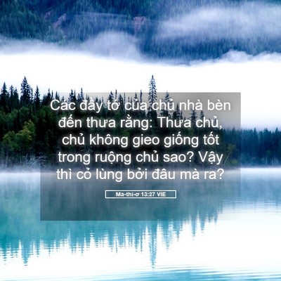 Picture 05 - Ma-thi-ơ 13:27 VIE - Các đầy tớ của chủ nhà bèn đến - Bible Verse Picture