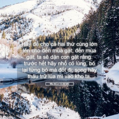 Picture 05 - Ma-thi-ơ 13:30 VIE - Hãy để cho cả hai thứ cùng lớn lên - Bible Verse Picture