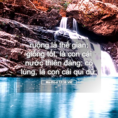 Picture 05 - Ma-thi-ơ 13:38 VIE - ruộng là thế gian; giống tốt, là con - Bible Verse Picture