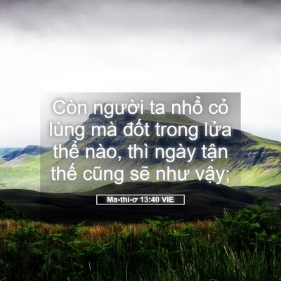 Picture 05 - Ma-thi-ơ 13:40 VIE - Còn người ta nhổ cỏ lùng mà đốt - Bible Verse Picture