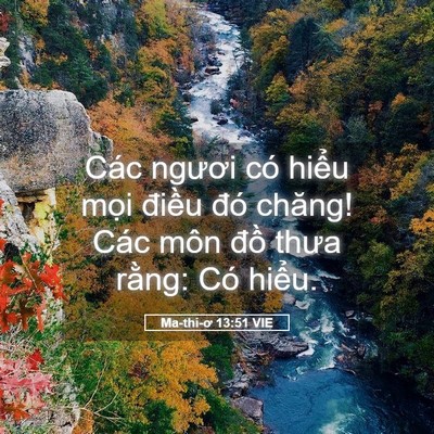 Picture 05 - Ma-thi-ơ 13:51 VIE - Các ngươi có hiểu mọi điều đó - Bible Verse Picture