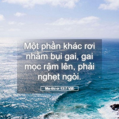 Picture 05 - Ma-thi-ơ 13:7 VIE - Một phần khác rơi nhằm bụi gai, gai - Bible Verse Picture
