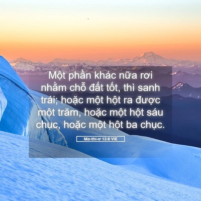 Picture 05 - Ma-thi-ơ 13:8 VIE - Một phần khác nữa rơi nhằm chỗ đất - Bible Verse Picture