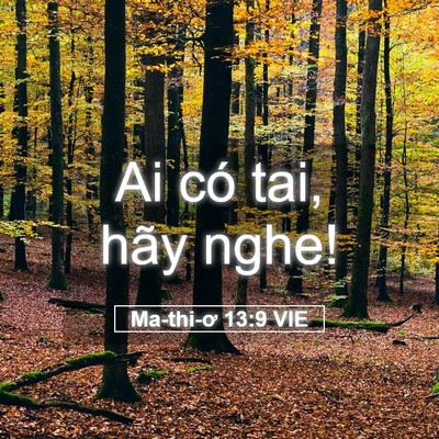 Picture 05 - Ma-thi-ơ 13:9 VIE - Ai có tai, hãy - Bible Verse Picture