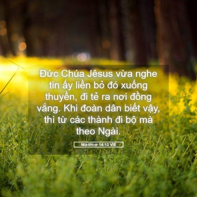 Picture 05 - Ma-thi-ơ 14:13 VIE - Đức Chúa Jêsus vừa nghe tin ấy liền - Bible Verse Picture