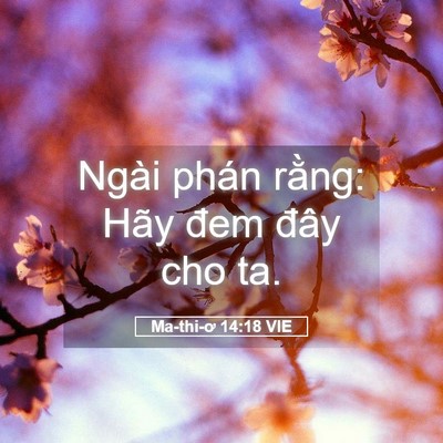 Picture 05 - Ma-thi-ơ 14:18 VIE - Ngài phán rằng: Hãy đem đây cho - Bible Verse Picture