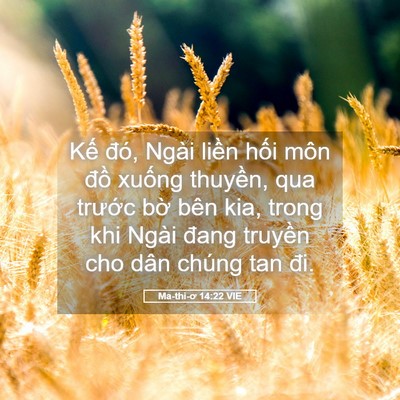 Picture 05 - Ma-thi-ơ 14:22 VIE - Kế đó, Ngài liền hối môn đồ xuống - Bible Verse Picture
