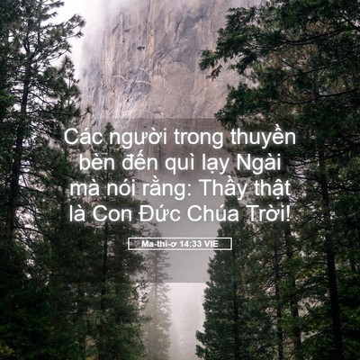 Picture 05 - Ma-thi-ơ 14:33 VIE - Các người trong thuyền bèn đến quì - Bible Verse Picture