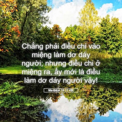 Picture 05 - Ma-thi-ơ 15:11 VIE - Chẳng phải điều chi vào miệng làm dơ - Bible Verse Picture
