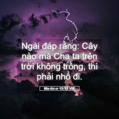 Picture 05 - Ma-thi-ơ 15:13 VIE - Ngài đáp rằng: Cây nào mà Cha ta trên - Bible Verse Picture