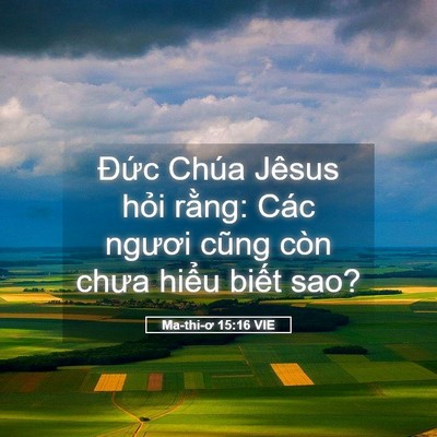 Picture 05 - Ma-thi-ơ 15:16 VIE - Đức Chúa Jêsus hỏi rằng: Các ngươi - Bible Verse Picture