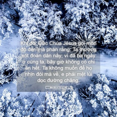 Picture 05 - Ma-thi-ơ 15:32 VIE - Khi đó, Đức Chúa Jêsus gọi môn đồ - Bible Verse Picture