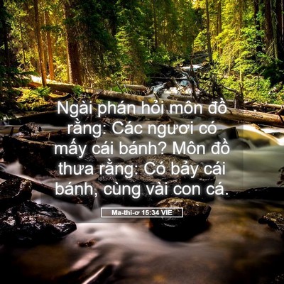 Picture 05 - Ma-thi-ơ 15:34 VIE - Ngài phán hỏi môn đồ rằng: Các ngươi - Bible Verse Picture