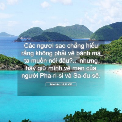 Picture 05 - Ma-thi-ơ 16:11 VIE - Các ngươi sao chẳng hiểu rằng không - Bible Verse Picture