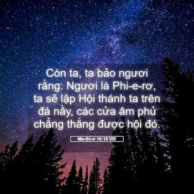 Picture 05 - Ma-thi-ơ 16:18 VIE - Còn ta, ta bảo ngươi rằng: Ngươi là - Bible Verse Picture