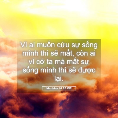 Picture 05 - Ma-thi-ơ 16:25 VIE - Vì ai muốn cứu sự sống mình thì sẽ - Bible Verse Picture