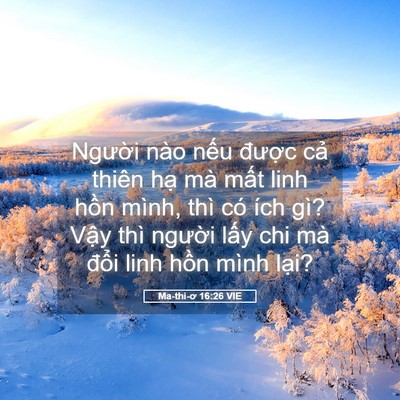 Picture 05 - Ma-thi-ơ 16:26 VIE - Người nào nếu được cả thiên hạ mà - Bible Verse Picture