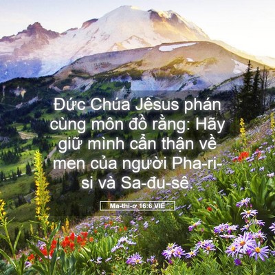 Picture 05 - Ma-thi-ơ 16:6 VIE - Đức Chúa Jêsus phán cùng môn đồ - Bible Verse Picture
