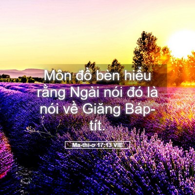 Picture 05 - Ma-thi-ơ 17:13 VIE - Môn đồ bèn hiểu rằng Ngài nói đó là - Bible Verse Picture