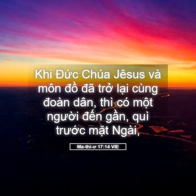 Picture 05 - Ma-thi-ơ 17:14 VIE - Khi Đức Chúa Jêsus và môn đồ đã trở - Bible Verse Picture