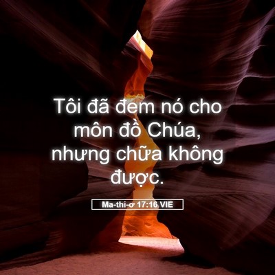 Picture 05 - Ma-thi-ơ 17:16 VIE - Tôi đã đem nó cho môn đồ Chúa, nhưng - Bible Verse Picture