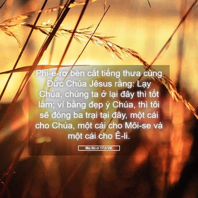 Picture 05 - Ma-thi-ơ 17:4 VIE - Phi-e-rơ bèn cất tiếng thưa cùng Đức - Bible Verse Picture