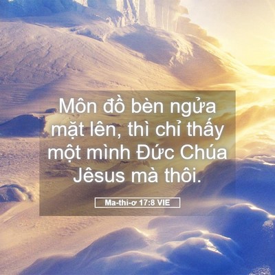 Picture 05 - Ma-thi-ơ 17:8 VIE - Môn đồ bèn ngửa mặt lên, thì chỉ - Bible Verse Picture
