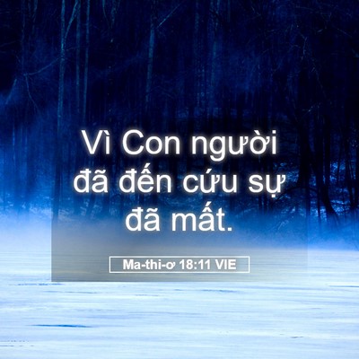 Picture 05 - Ma-thi-ơ 18:11 VIE - Vì Con người đã đến cứu sự đã - Bible Verse Picture