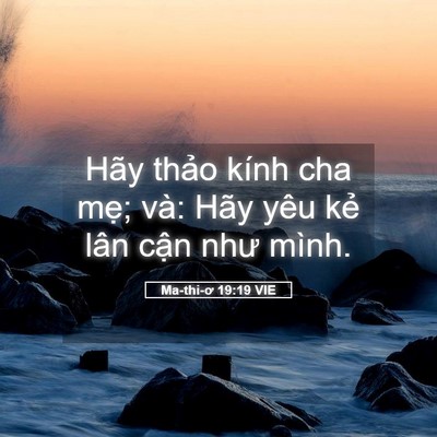 Picture 05 - Ma-thi-ơ 19:19 VIE - Hãy thảo kính cha mẹ; và: Hãy yêu kẻ - Bible Verse Picture