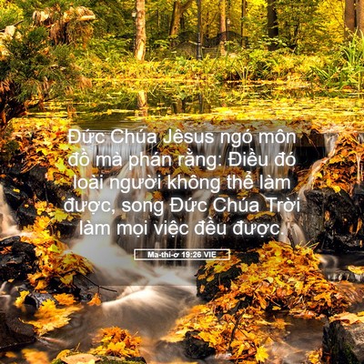 Picture 05 - Ma-thi-ơ 19:26 VIE - Đức Chúa Jêsus ngó môn đồ mà phán - Bible Verse Picture