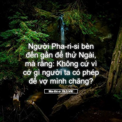 Picture 05 - Ma-thi-ơ 19:3 VIE - Người Pha-ri-si bèn đến gần để thử - Bible Verse Picture