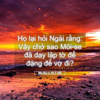 Picture 05 - Ma-thi-ơ 19:7 VIE - Họ lại hỏi Ngài rằng: Vậy chớ sao - Bible Verse Picture