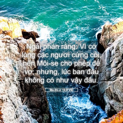 Picture 05 - Ma-thi-ơ 19:8 VIE - Ngài phán rằng: Vì cớ lòng các ngươi - Bible Verse Picture
