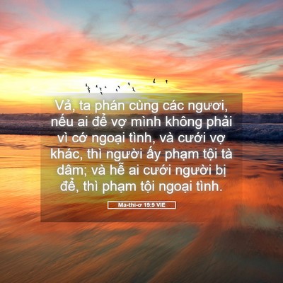 Picture 05 - Ma-thi-ơ 19:9 VIE - Vả, ta phán cùng các ngươi, nếu ai để - Bible Verse Picture