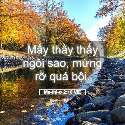 Picture 05 - Ma-thi-ơ 2:10 VIE - Mấy thầy thấy ngôi sao, mừng rỡ quá - Bible Verse Picture