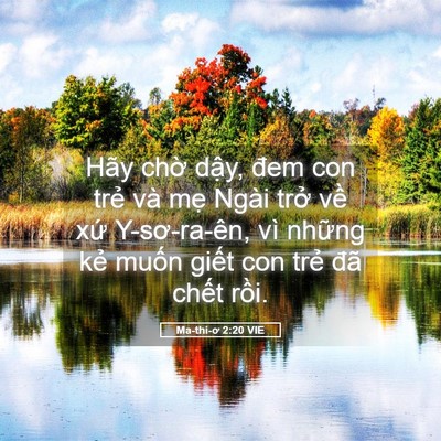 Picture 05 - Ma-thi-ơ 2:20 VIE - Hãy chờ dậy, đem con trẻ và mẹ Ngài - Bible Verse Picture