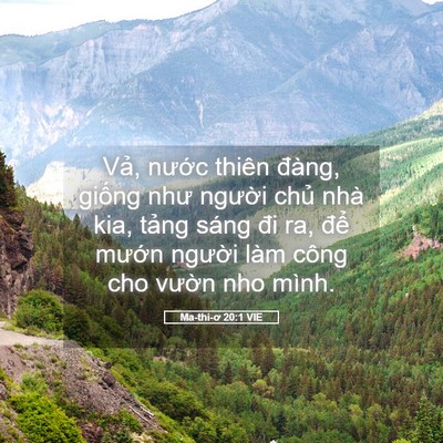 Picture 05 - Ma-thi-ơ 20:1 VIE - Vả, nước thiên đàng, giống như - Bible Verse Picture