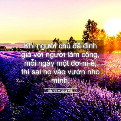 Picture 05 - Ma-thi-ơ 20:2 VIE - Khi người chủ đã định giá với - Bible Verse Picture